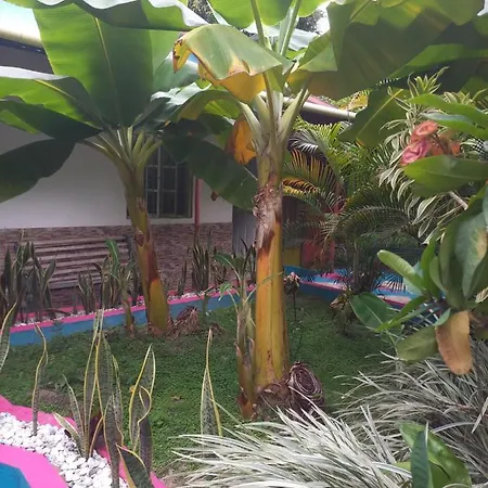 Eco-Cafe El Mirador Apartment Guachaca Exterior photo