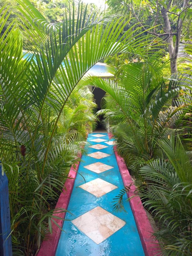 Eco-cafe El Mirador * Guachaca