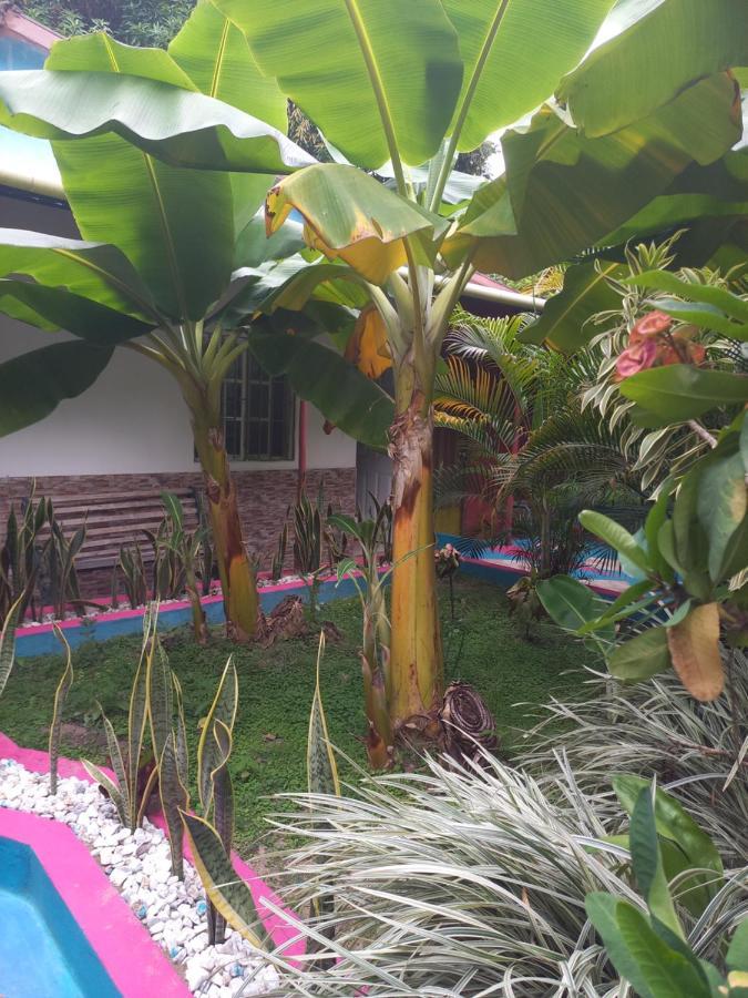 Privatunterkunft Eco-cafe El Mirador *